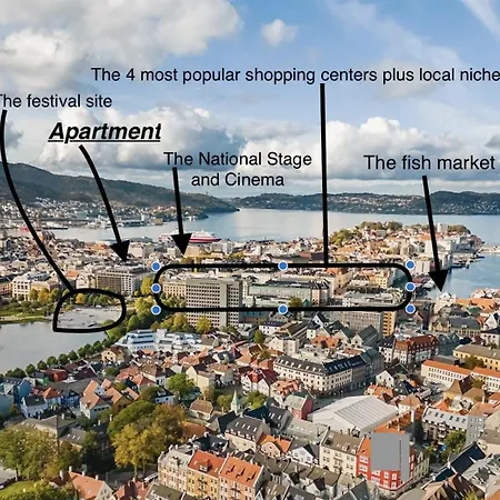 Appartement Romslig Midt I Sentrum - Komfort Med Kvalitetsenger Og Dyner