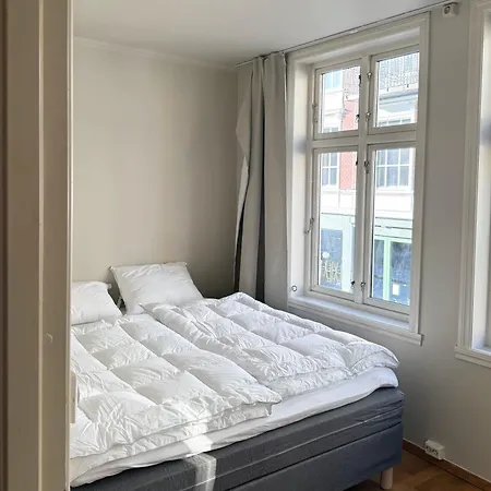 Appartement Romslig Midt I Sentrum - Komfort Med Kvalitetsenger Og Dyner